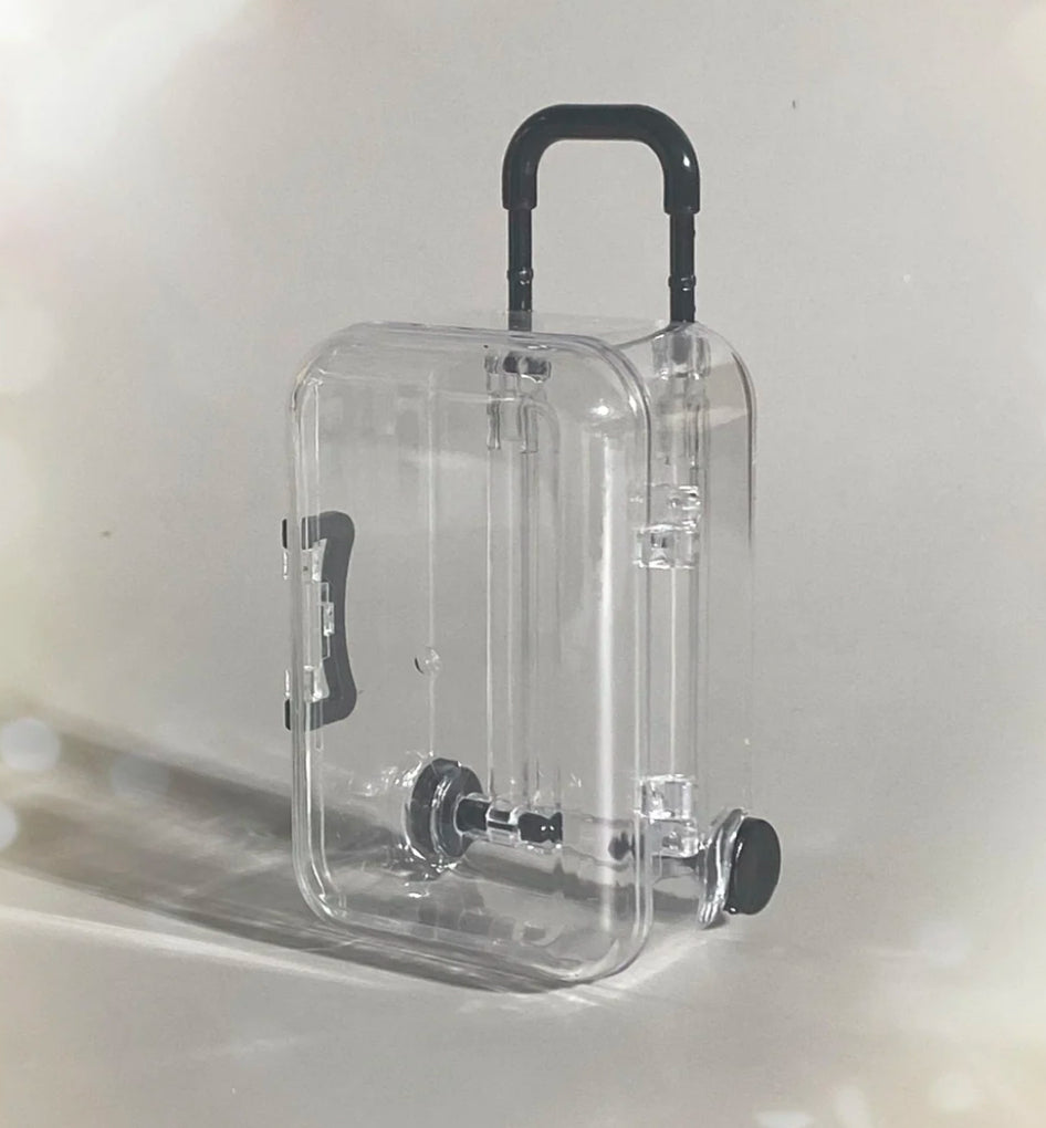Plastic Mini Trolley Luggage Storage Box