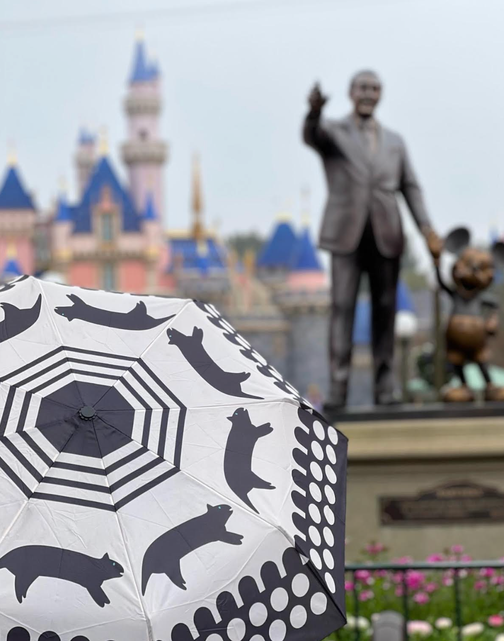 Indigenous Designed Umbrellas