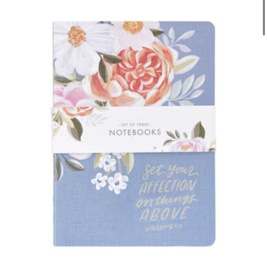 Affection Blue Floral Notebooks