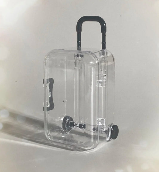Plastic Mini Trolley Luggage Storage Box