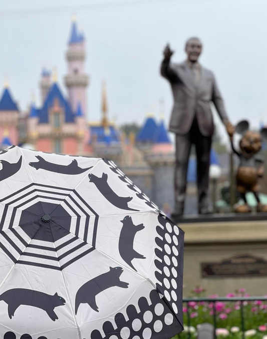 Indigenous Designed Umbrellas